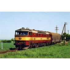 Motorová lokomotiva 751.239 u Velké Bučiny-Olovnice-květen 2006